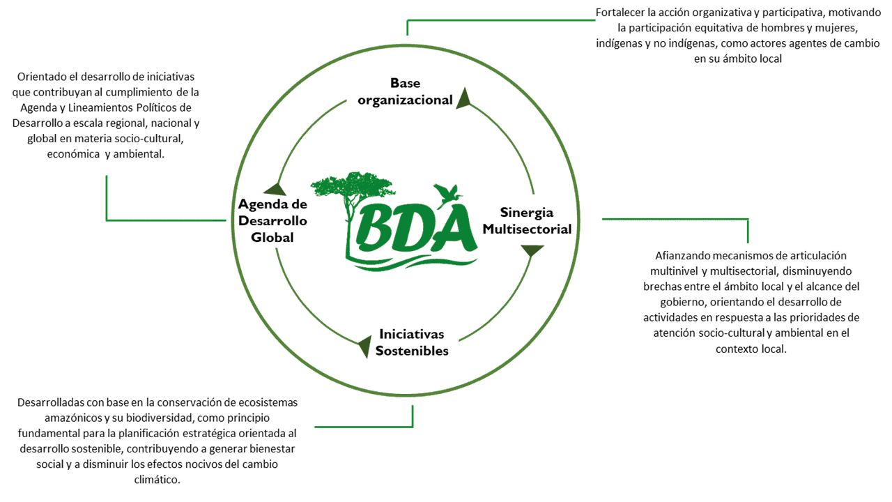 Organizador BDA