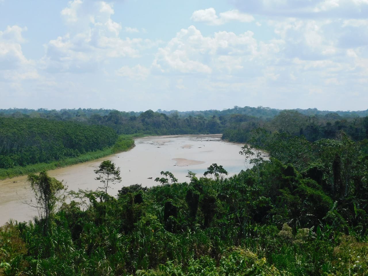 Nuestro Equipo Trabajando en la Amazonía
